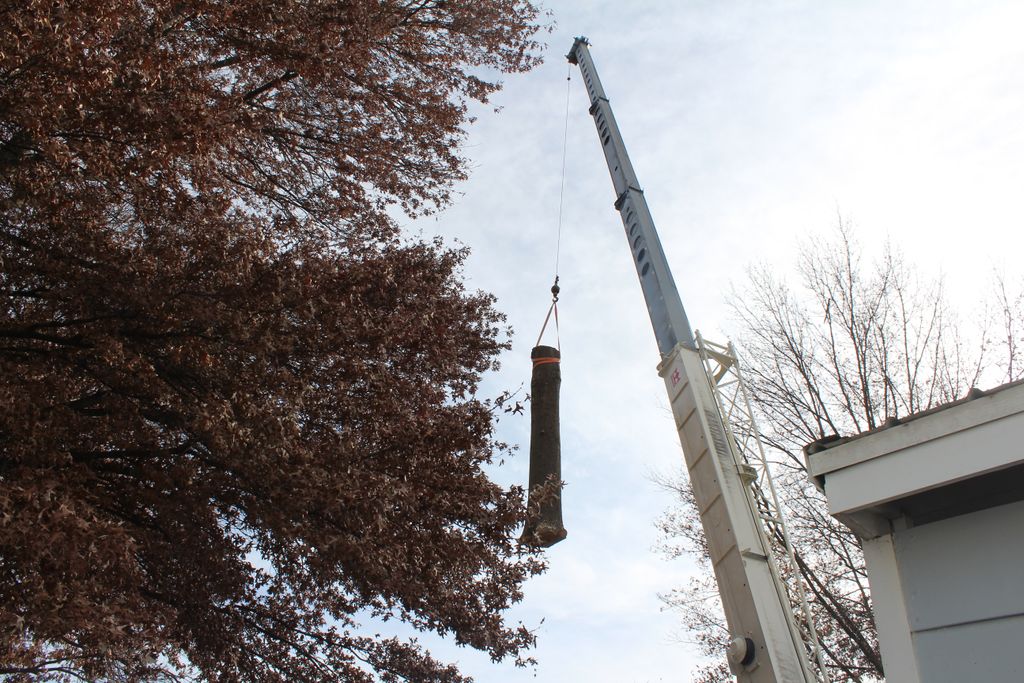 Tree Trimming and Removal