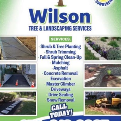 Avatar for Wilson Tree & Landscaping services