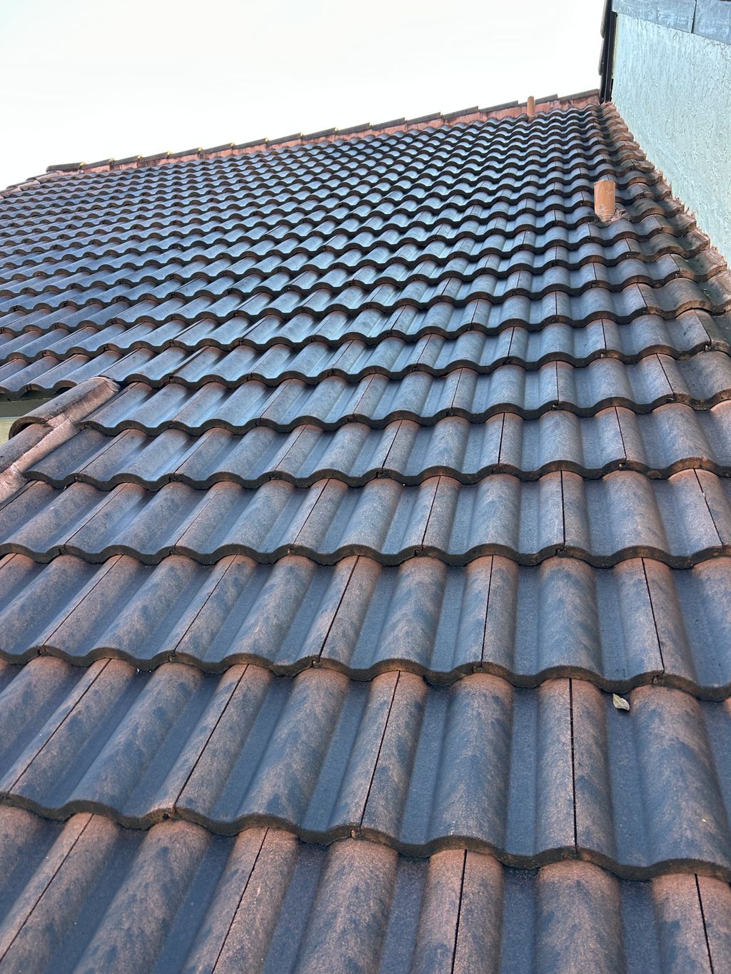 Roof Cleaning