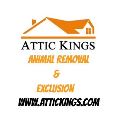 Avatar for Attic Kings, Animal Removal & Exclusion