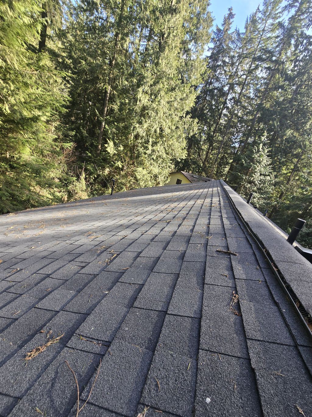 Roof Installation or Replacement