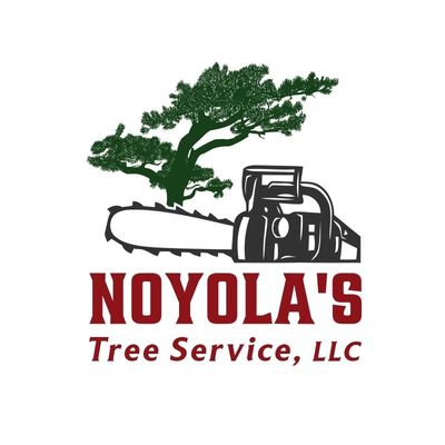 Avatar for Noyola's Tree Service