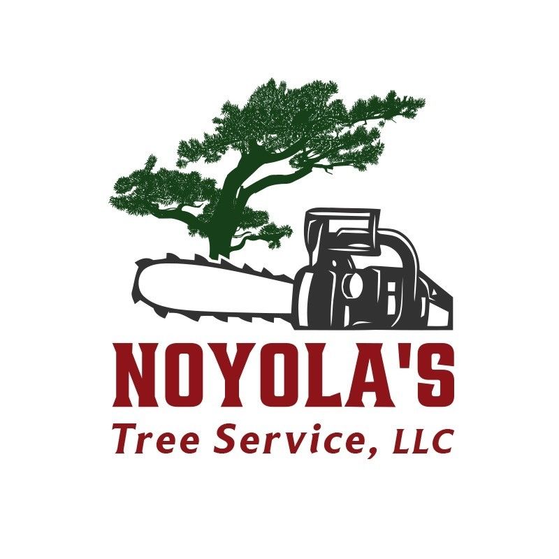 Noyola's Tree Service