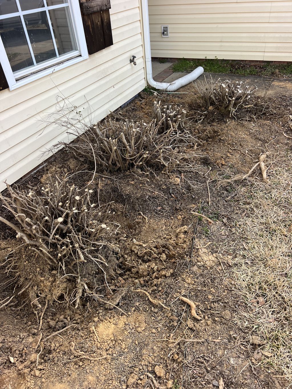 Tree Stump Grinding and Removal