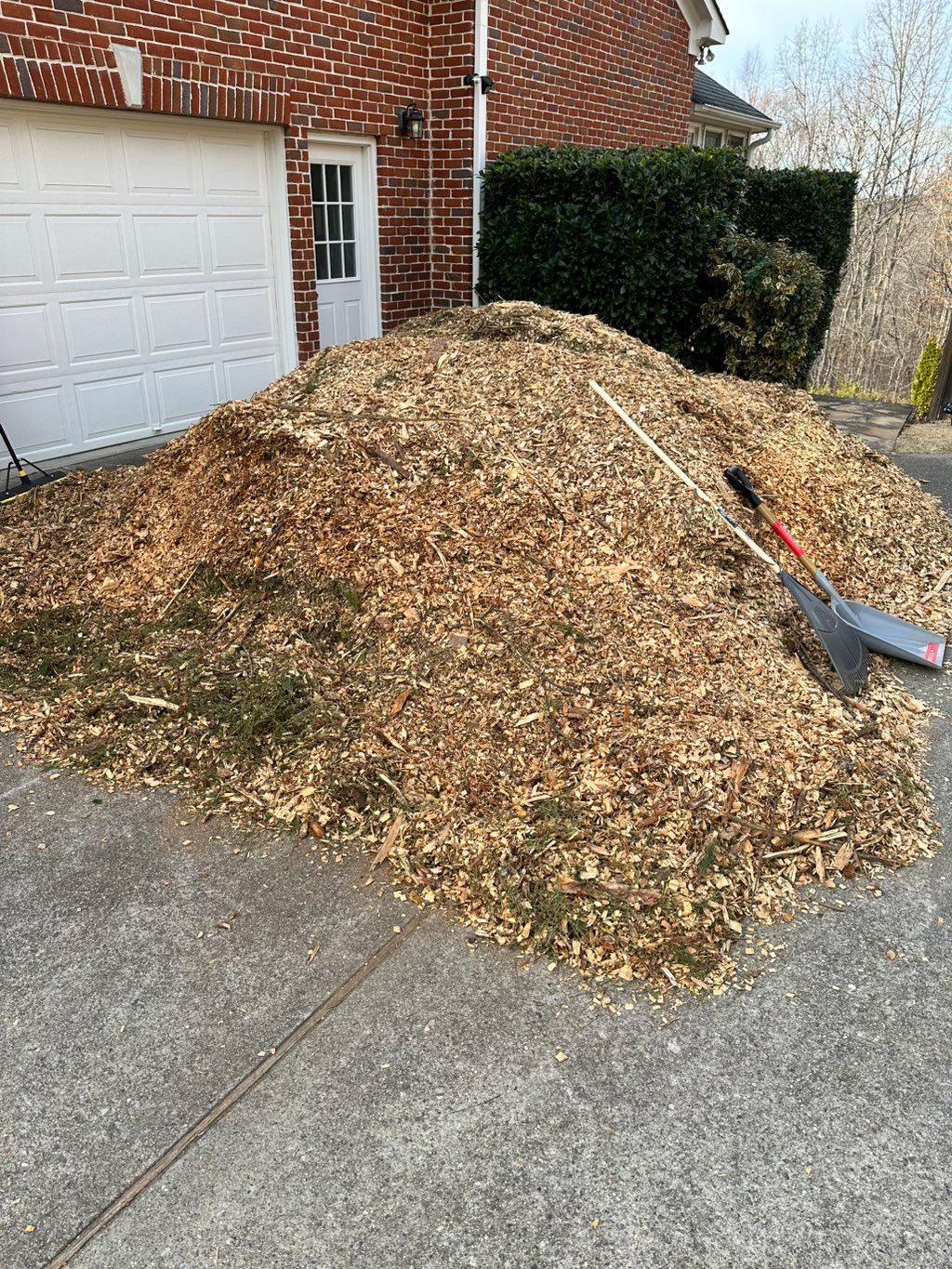 This was a mulching Project. The homeowner wanted 