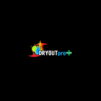 Avatar for DRYOUTpro PLUS