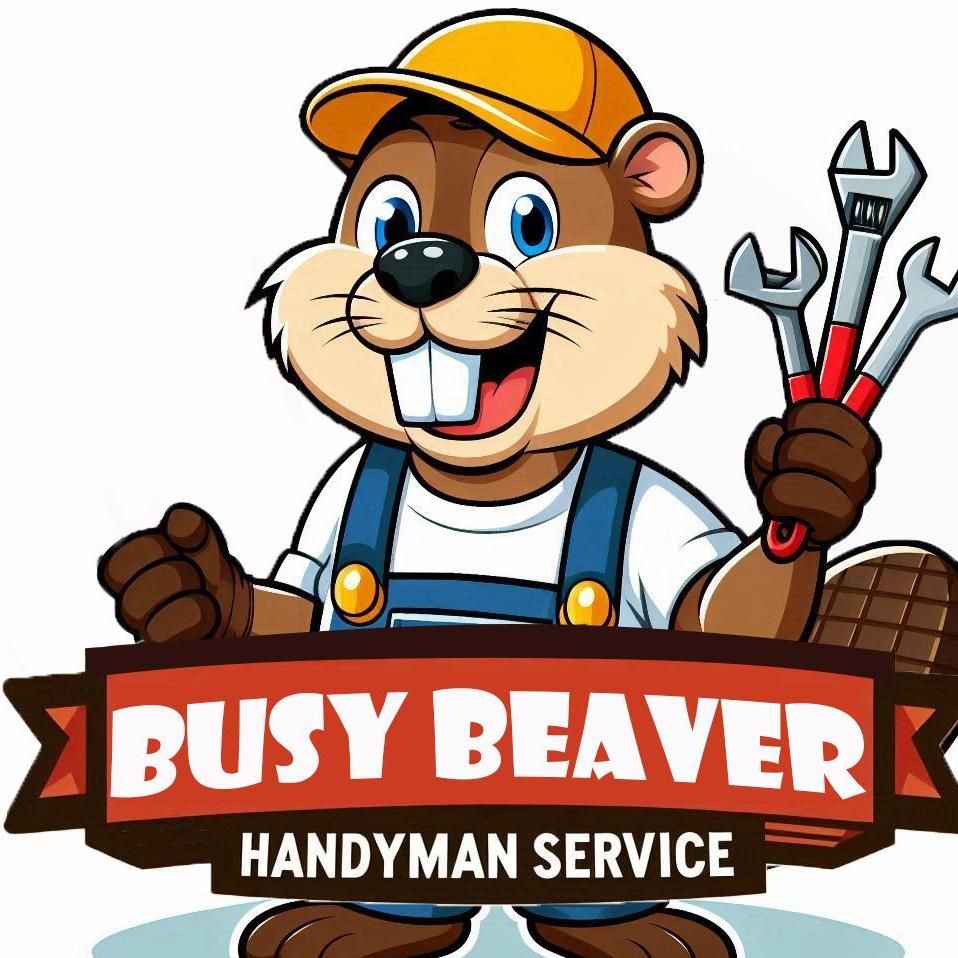 Busy Beaver handyman