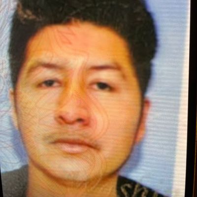Avatar for Mario’ junk pross removal