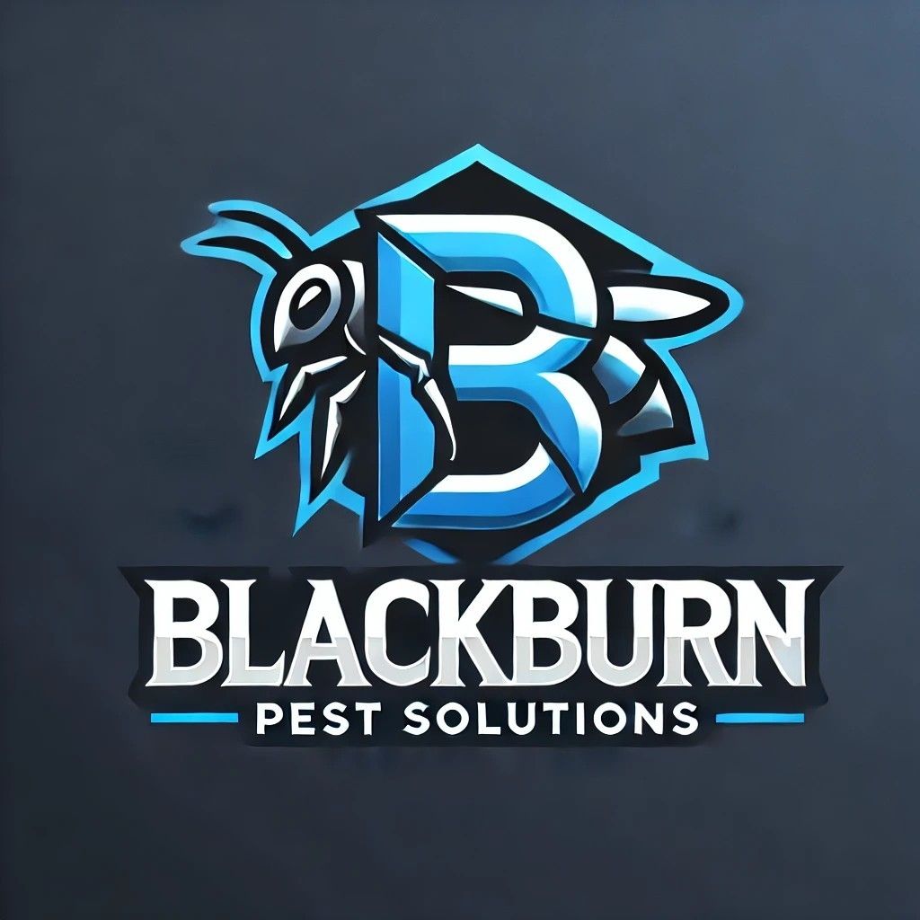 Blackburn Pest Solution