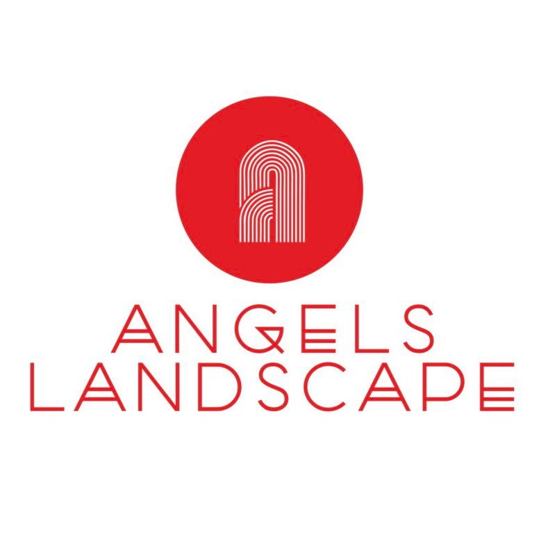 Angel’s Landscape