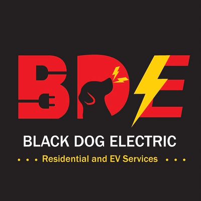 Avatar for Black Dog Electric