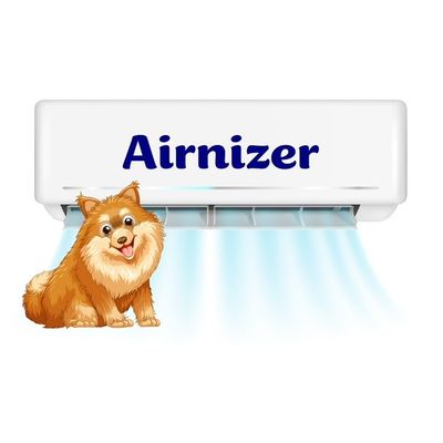 Avatar for Airnizer