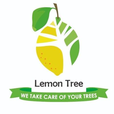 Avatar for Lemon Tree