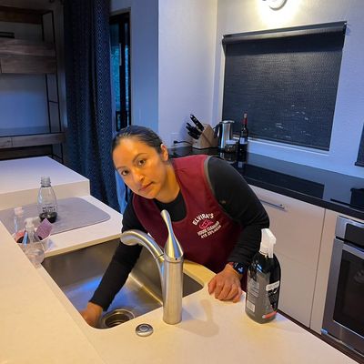 Avatar for Elvira's House Cleaning *Serious Inquiries Please*