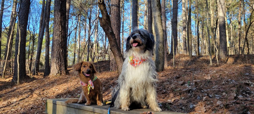 Rosie and London posing for a picture