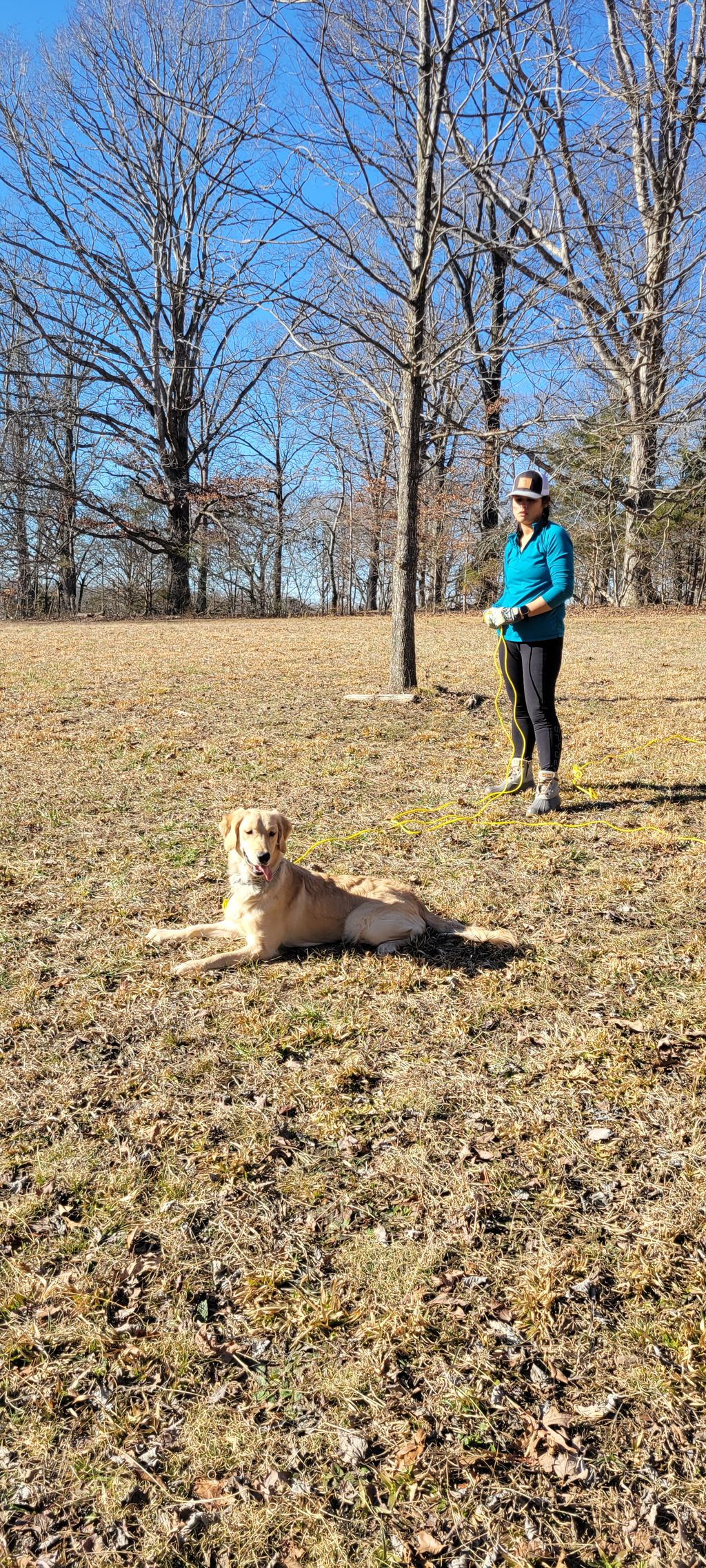 Gracie working on outdoor recall