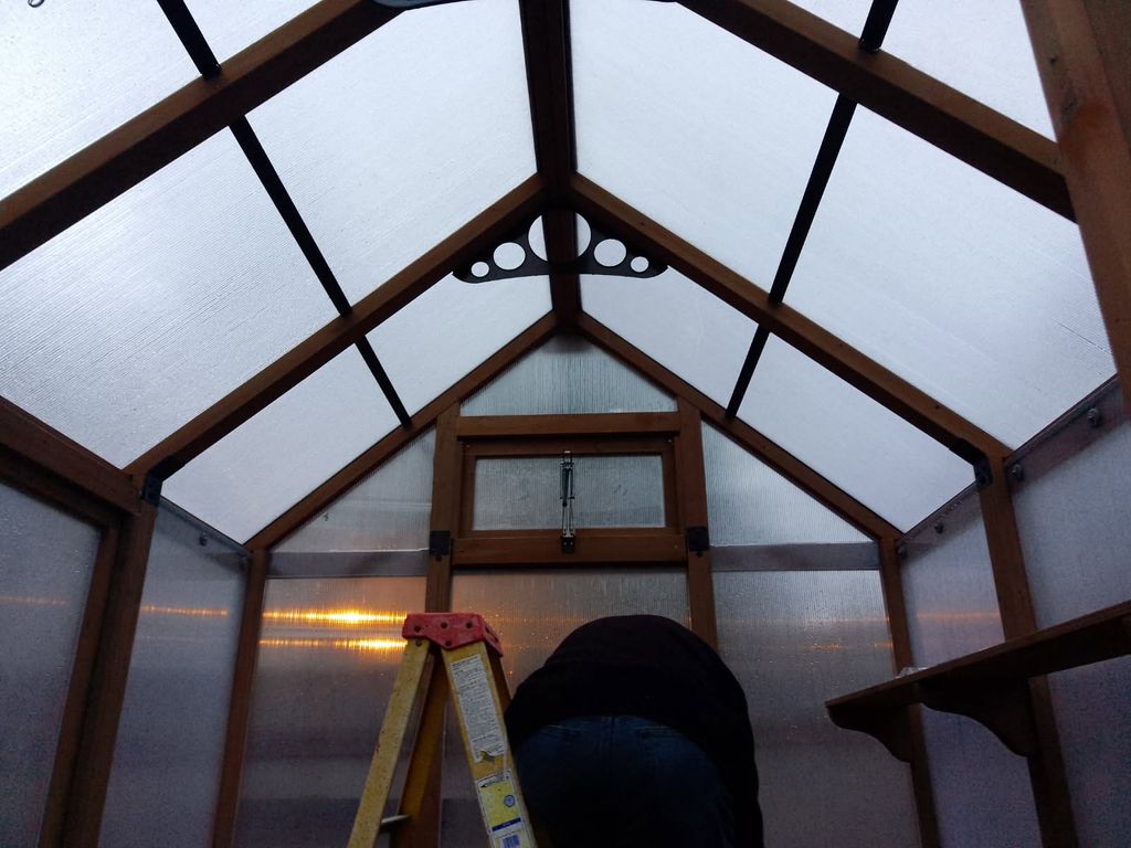 i greenhouse interior