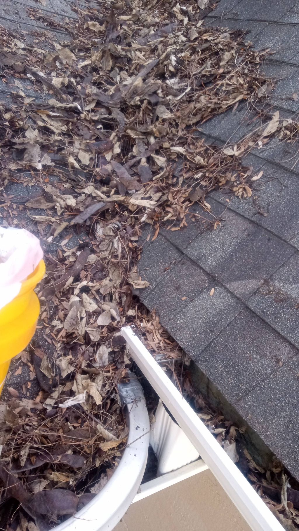 Before (Gutter and roof cleaning)