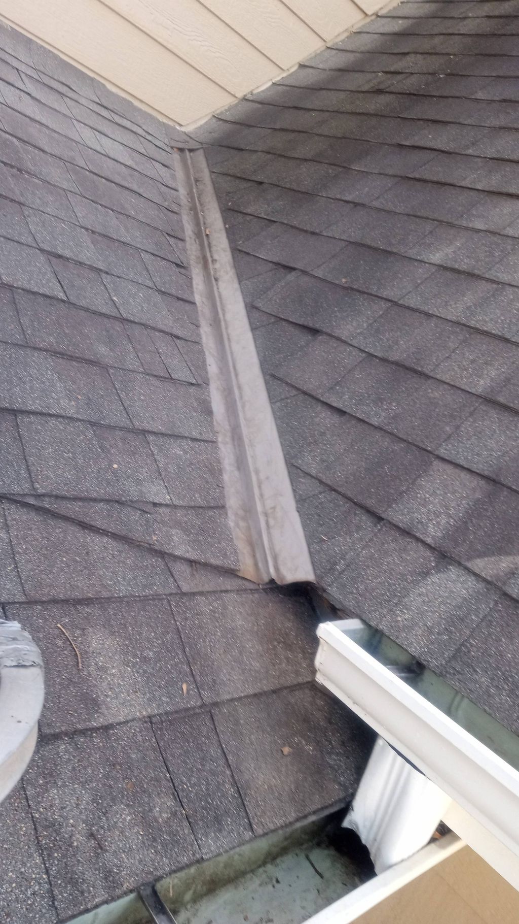 After (Gutter and roof cleaning)