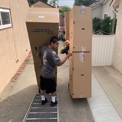 Avatar for The professional movers