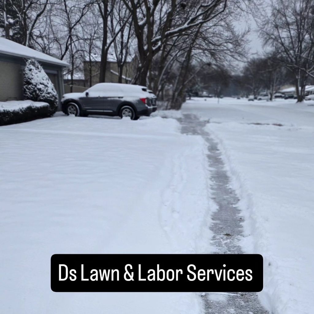 Ds Lawn & Labor Services