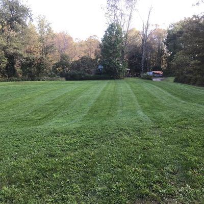 Avatar for Sickler Lawn & Landscape