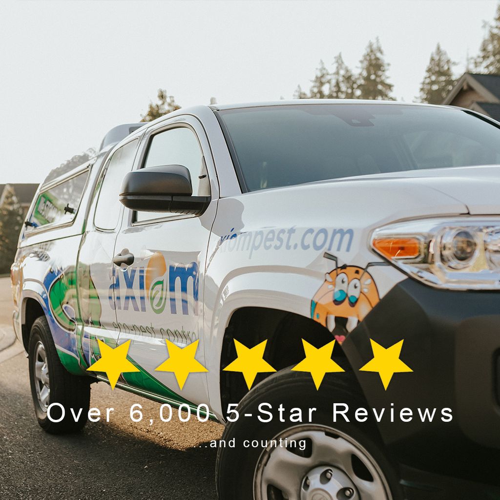 Over 6,000 5-star reviews and counting! 