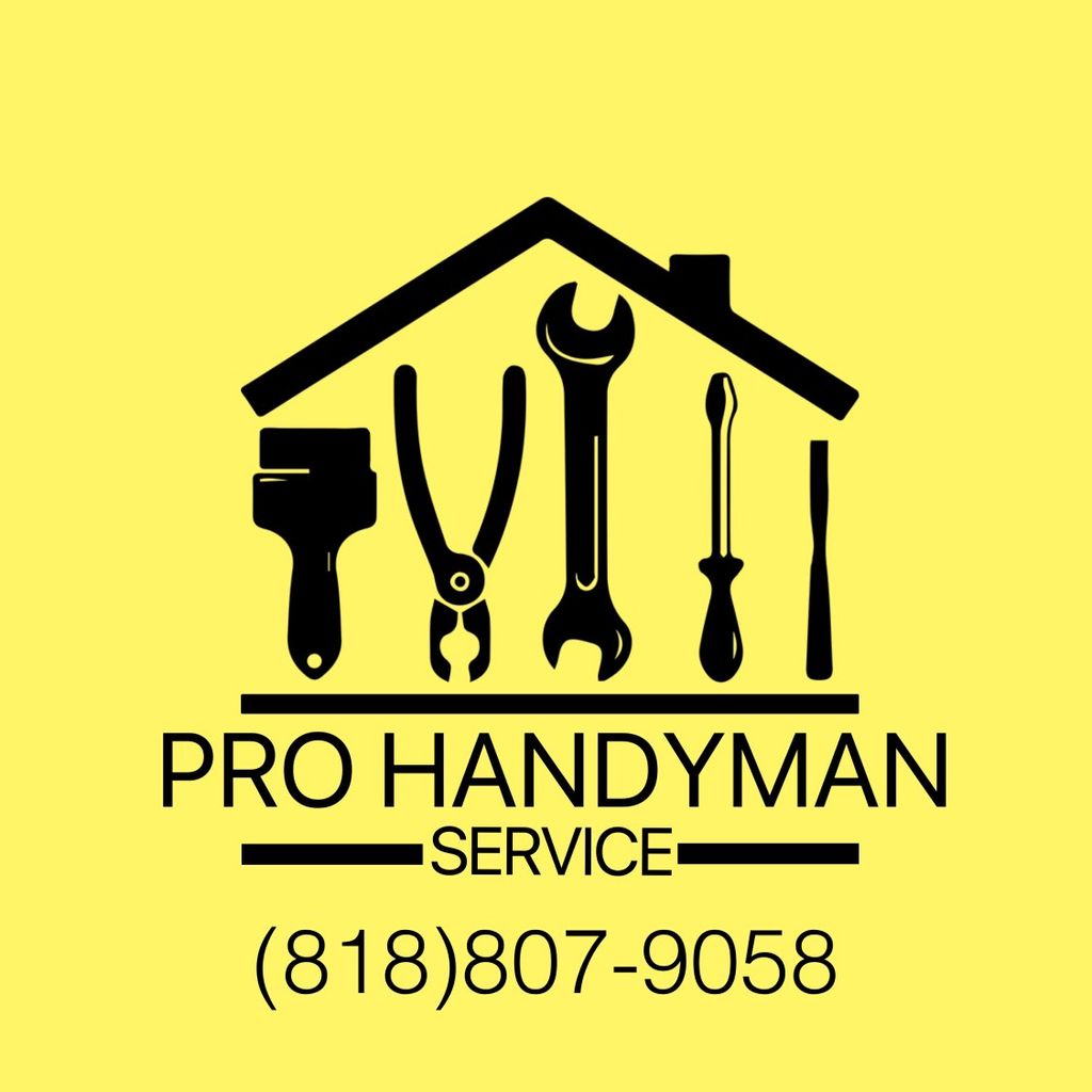 Pro Handyman Service
