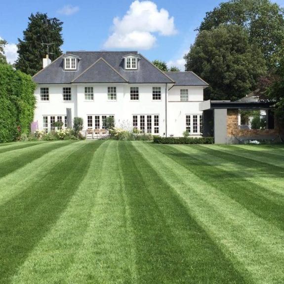 Perfect Lawn Care