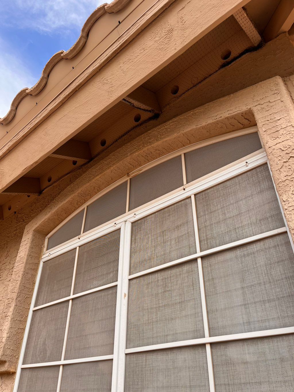 Cleaned up pigeon debris and installed bird nettin