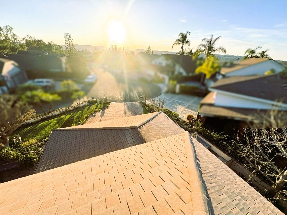 Roof Cleaning