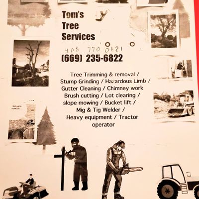 Avatar for Toms Tree Service & Stump Grinding