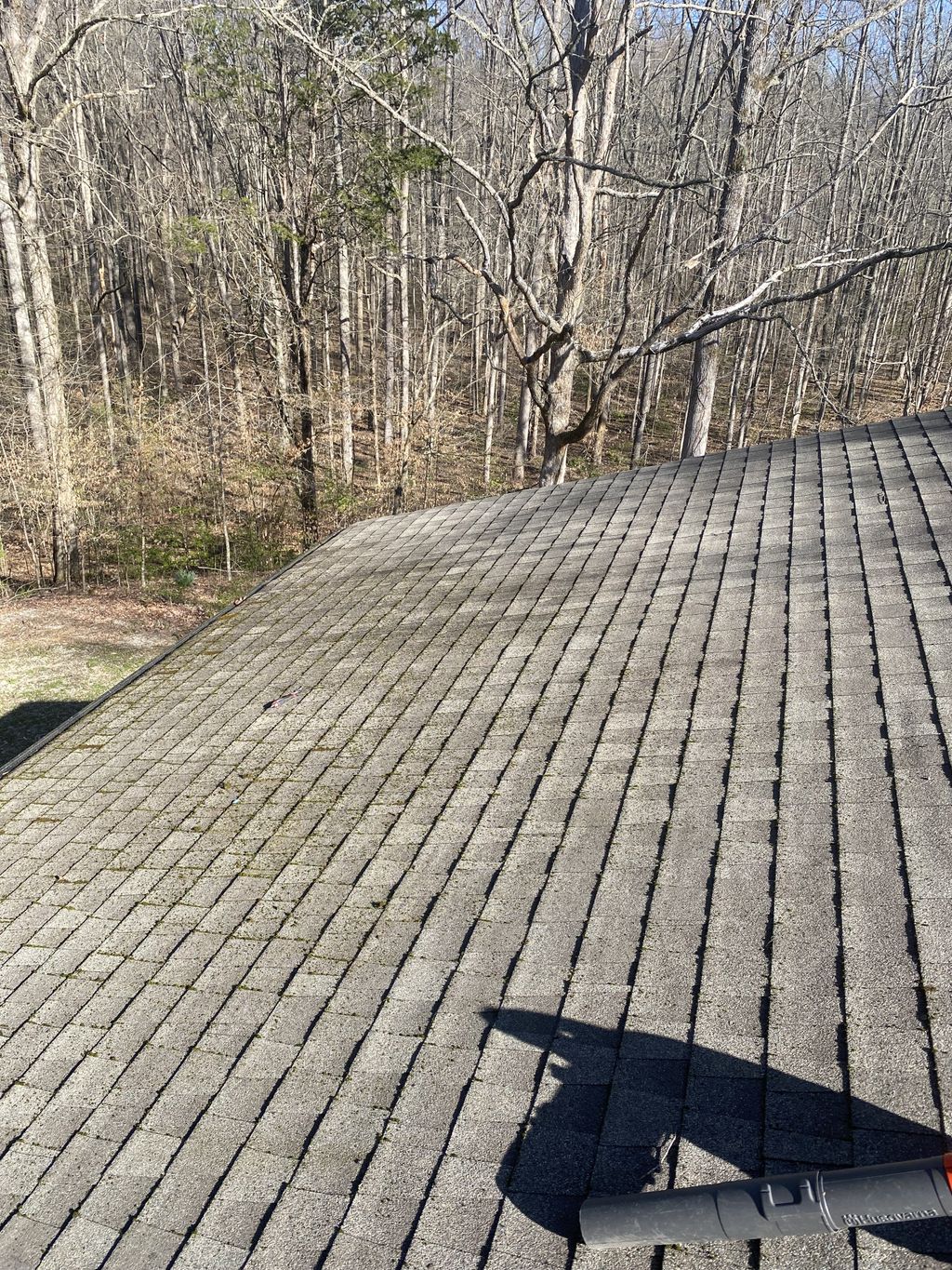 Roof Cleaning