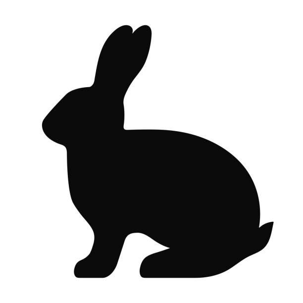 Dust Bunny busters cleaning llc.