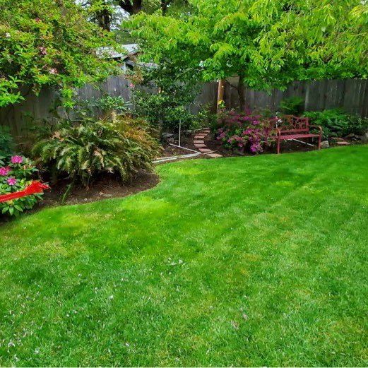 Pacific Evergreen Lawn Care