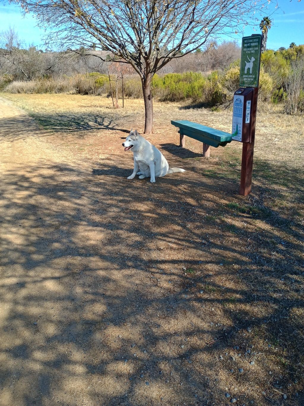 very obedient and they say he wasn't.