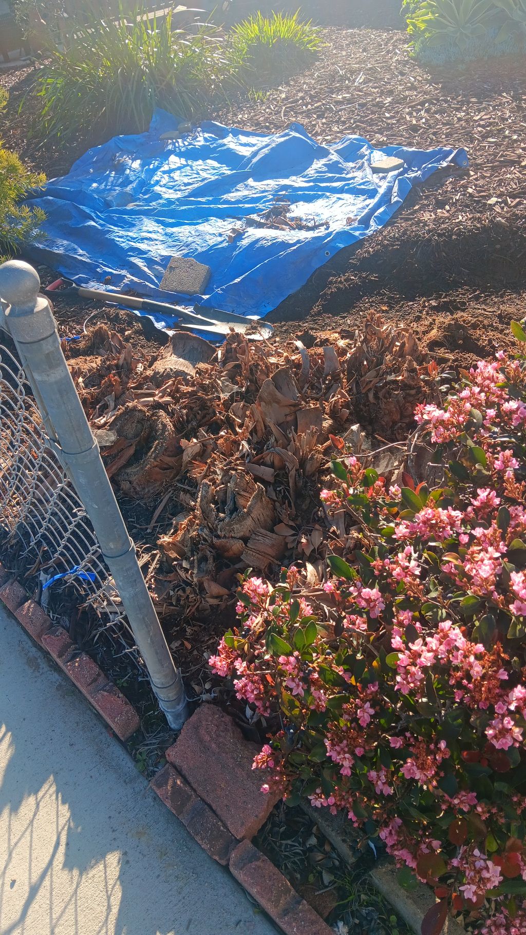 Tree Stump Grinding and Removal