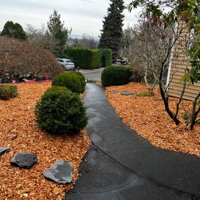 Avatar for Sandoval Landscape Services