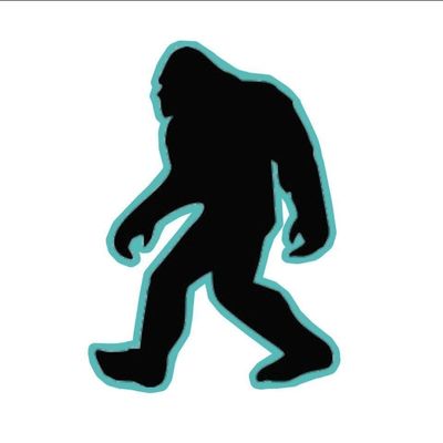 Avatar for Yeti Window Cleaners