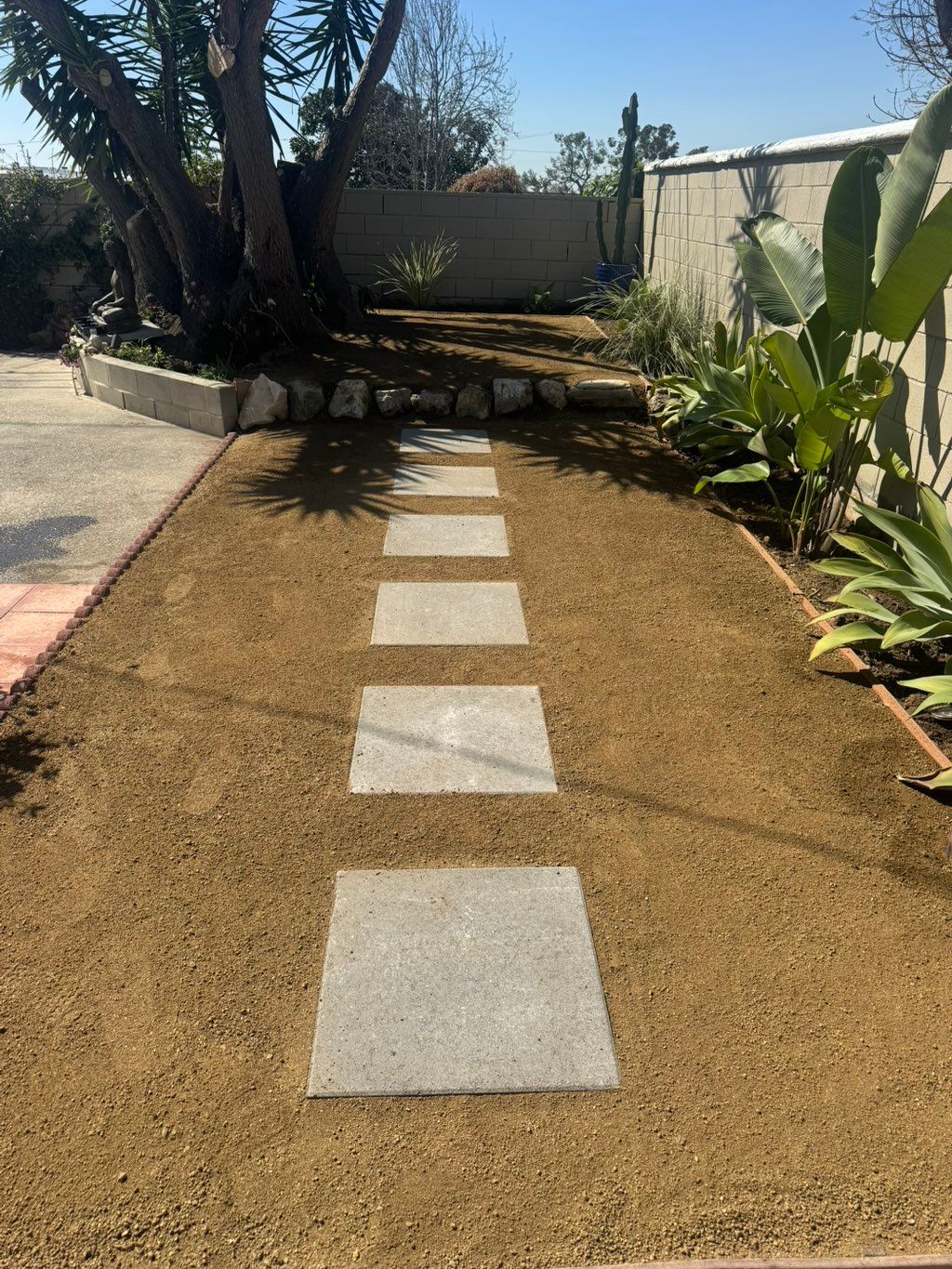 New landscape done 
