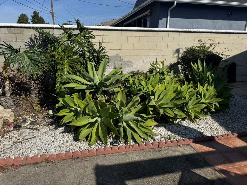 Old landscape before 