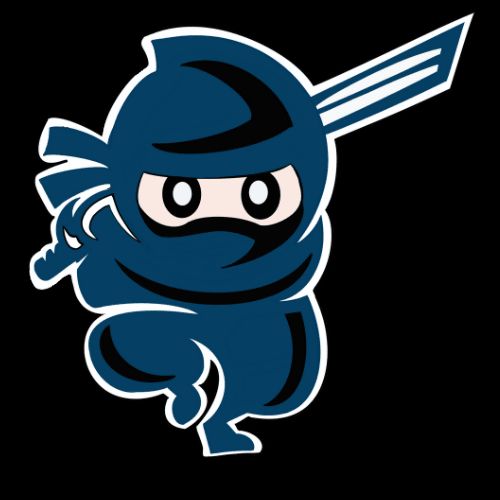 Assembly Ninja