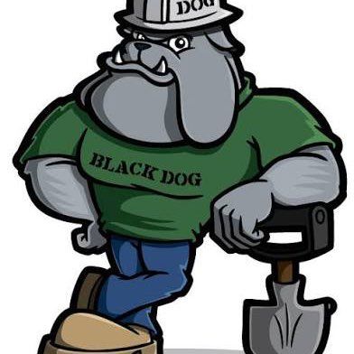 Bulldog Property Services LLC