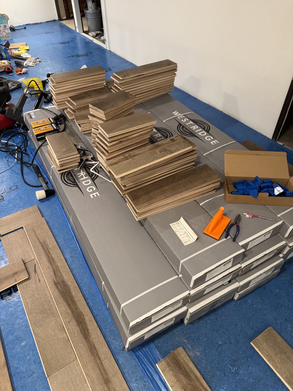 Projects and media