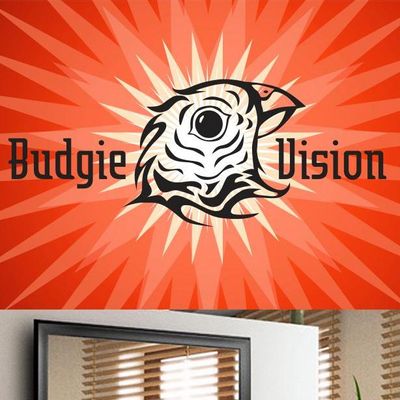 Avatar for Budgie Vision