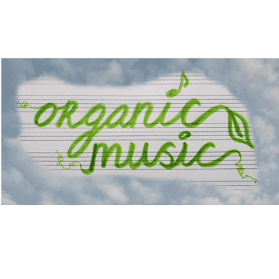 Avatar for Organic Music Lessons