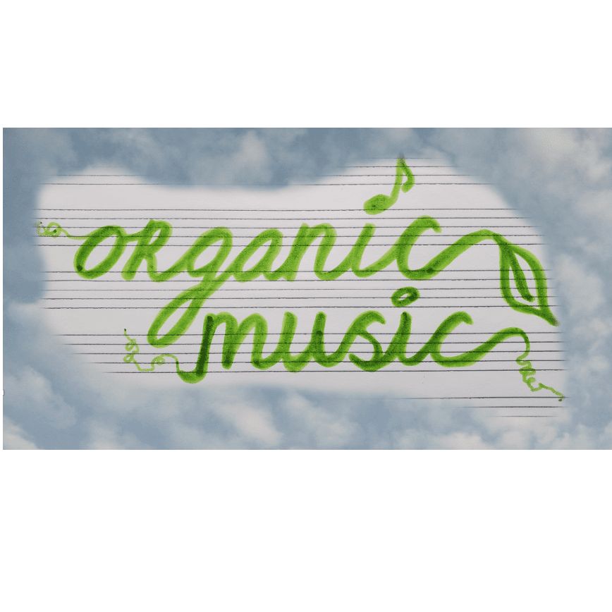 Organic Music Lessons