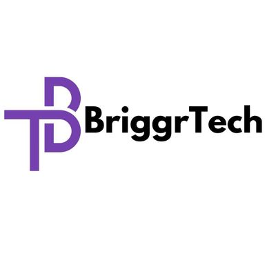 Avatar for BriggrTech