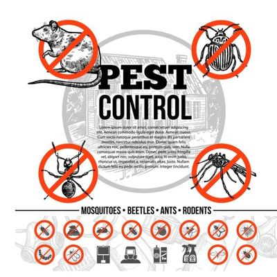 Avatar for Ruby Pest Control