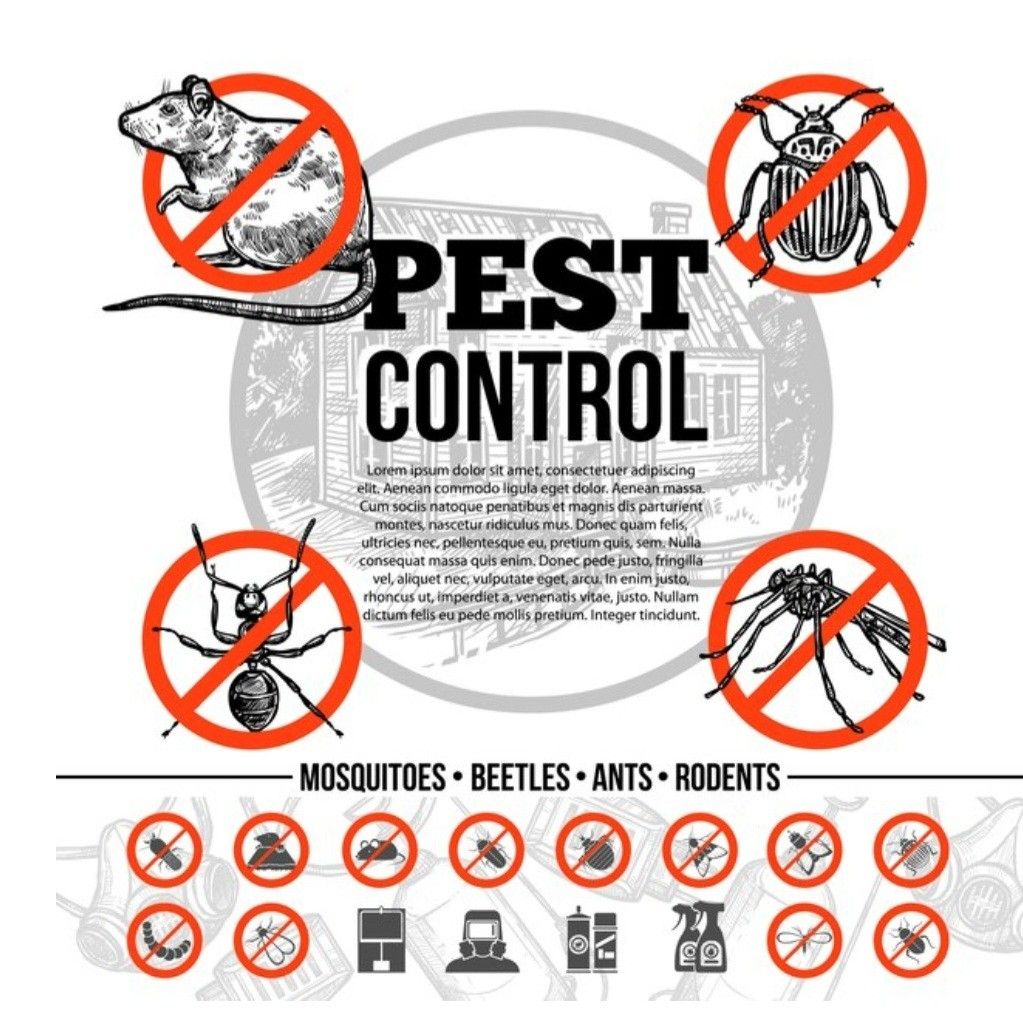 Ruby Pest Control